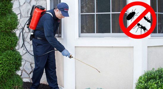 Bahçesaray Gümüşkurt İlaçlama böcek ilaçlama ve haşere kontrolü — ilaclama-tr.com